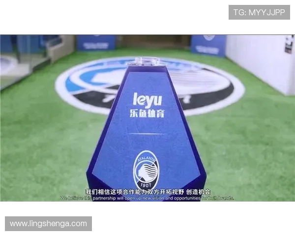 乐鱼体育直营：专业团队保障平台持续稳定运营与服务质量