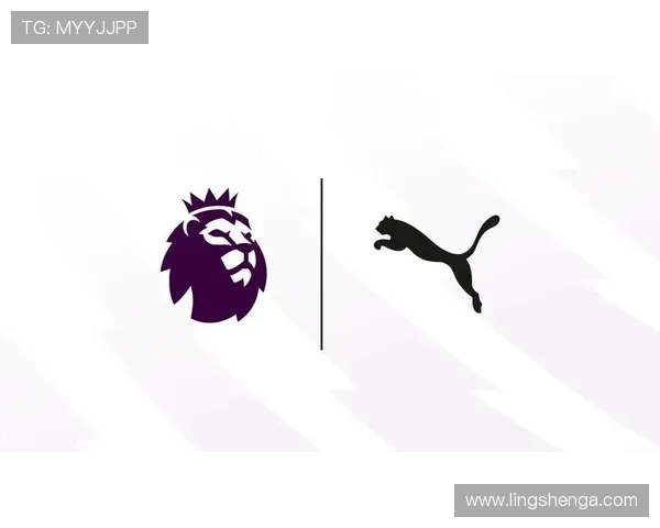 乐鱼体育网址最新入口，安全稳定的体育娱乐平台推荐