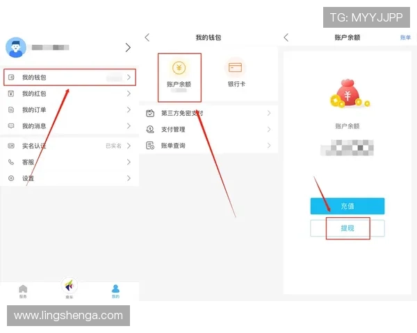 乐鱼国际app充值提现流程详解,资金安全高效便捷操作指南 乐鱼国际app充值提现流程详解,资金安全高效便捷操作指南