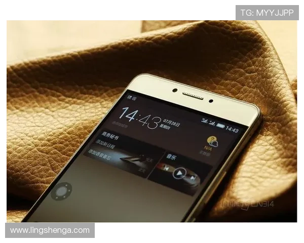 乐鱼官网平台安全可靠，保障用户资金与信息安全，享受放心的线上娱乐环境