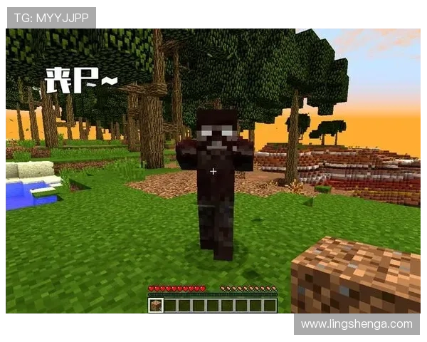 乐鱼官网app登录入口详细介绍及常见登录问题解决方案