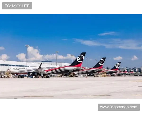 乐鱼电子有限公司:坚持以客户为中心,提供定制化电子产品和优质售后服务体系