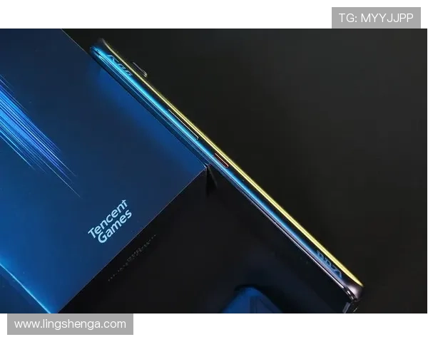 乐鱼真人手机版稳定流畅，带来极致的游戏体验和视觉享受