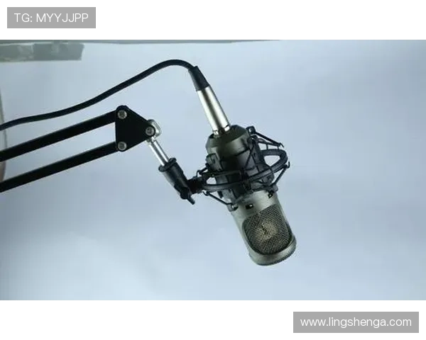 乐鱼直播整合最新硬件设备确保直播画质和音效的完美呈现满足高端用户需求