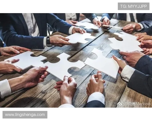 乐鱼综合网页版专业的客户服务团队，及时解决用户使用中的问题