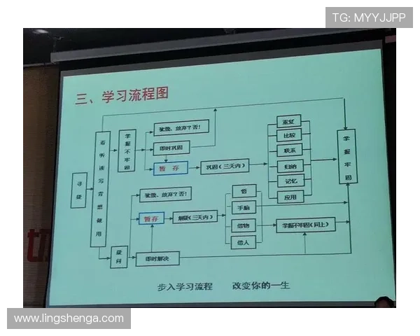 乐鱼注册中心注册流程优化建议提升注册效率与用户满意度