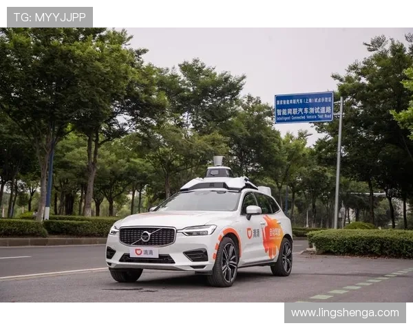 乐鱼电脑网页版登录入口安全登录指南，保障账号信息安全与顺畅体验